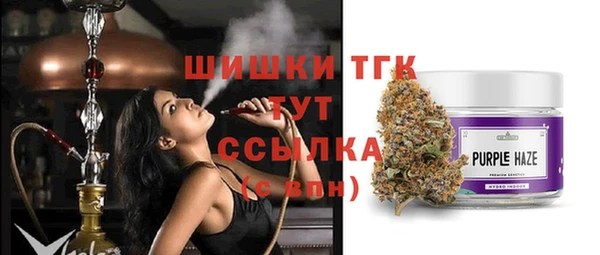 мдпв Тутаев