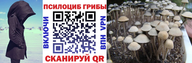 Псилоцибиновые грибы мицелий Сковородино