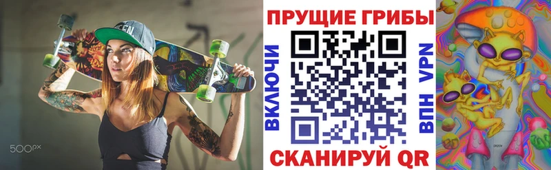 Псилоцибиновые грибы MAGIC MUSHROOMS  Купить закладки  Сковородино 